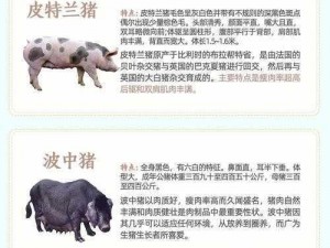 人和种猪;人和种猪在生物学特征及养殖方式上有哪些差异？