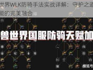 魔兽世界WLK防骑手法实战详解：守护之道与无敌技能的完美融合