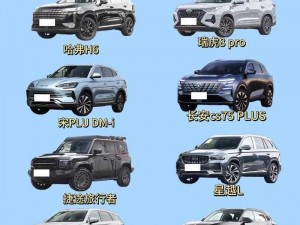 为什么国产 SUV 精品一区二区四区三区如此受欢迎？