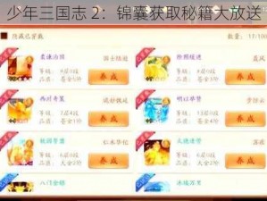 少年三国志 2：锦囊获取秘籍大放送