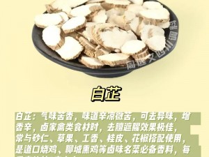 你喷的到处都是白芷，小东西你知道为什么吗？