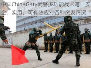 中国ChinaGary武警多功能战术笔，安全、实用，可有效应对各种突发情况