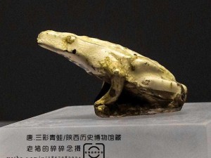 青蛙瓷器哪里多_想了解一下中国国内各地青蛙瓷器哪里多的相关信息呢？求推荐和介绍