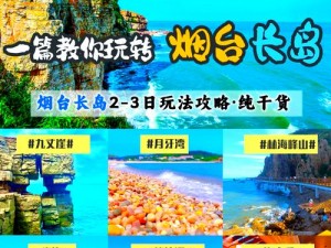 海岛船票大放送，小森生活带你玩转神秘岛屿