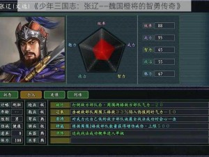 《少年三国志：张辽——魏国橙将的智勇传奇》