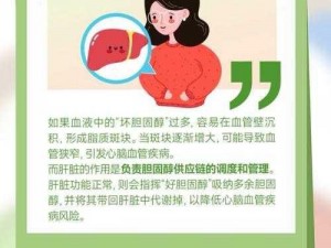 探索人体奥秘：最大的细胞究竟藏身何处？