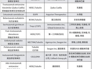 adc 年龄确认 18 岁年龄确认欢迎，为什么还需要？如何保障用户权益？