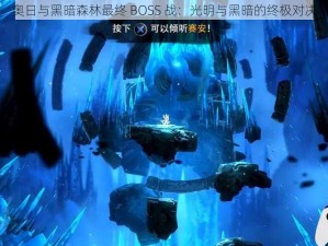 奥日与黑暗森林最终 BOSS 战：光明与黑暗的终极对决