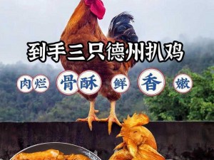 深度探索：德州扒鸡美食攻略与好感度提升秘籍