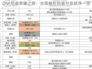 DNF勋章荣耀之路：全面解析勋章升级顺序一览