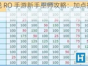 仙境传说 RO 手游新手巫师攻略：加点技巧与入门指南