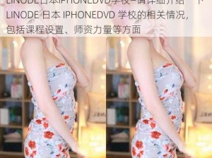 LINODE日本IPHONEDVD学校—请详细介绍一下 LINODE 日本 IPHONEDVD 学校的相关情况，包括课程设置、师资力量等方面