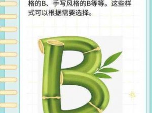 常见的 B 型照片一共有 7 种