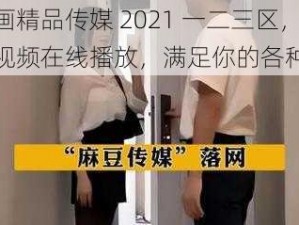 麻豆画精品传媒 2021 一二三区，成人视频在线播放，满足你的各种需求