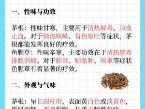 探索老牛嫩草一二三产品：功效大不同，你选对了吗？