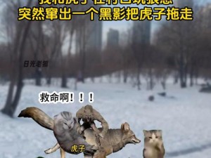 为什么国产卡 1 卡 2 卡三卡老狼中文破解如此困难？如何突破技术难关？