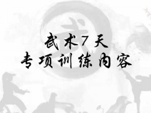 少林武学套路：传统与现代的完美结合