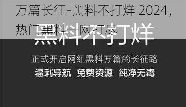 万篇长征-黑料不打烊 2024，热门黑料一网打尽