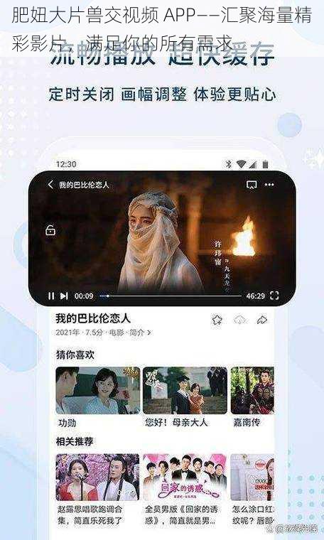 肥妞大片兽交视频 APP——汇聚海量精彩影片，满足你的所有需求