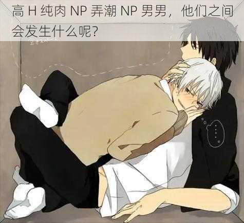 高 H 纯肉 NP 弄潮 NP 男男，他们之间会发生什么呢？