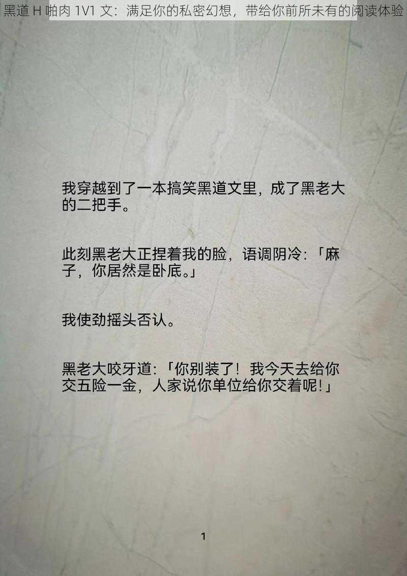 黑道 H 啪肉 1V1 文：满足你的私密幻想，带给你前所未有的阅读体验