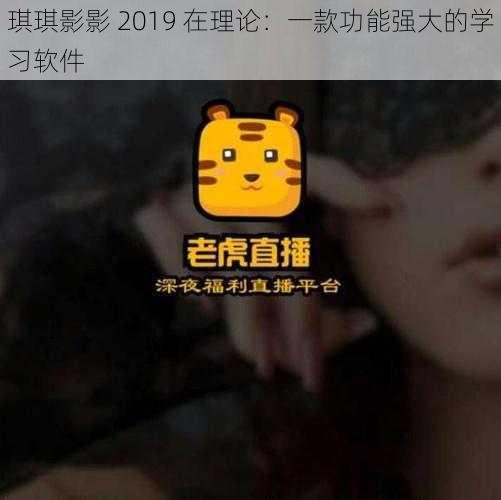 琪琪影影 2019 在理论：一款功能强大的学习软件