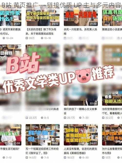 B站 黄页推广——链接优质 UP 主与多元内容