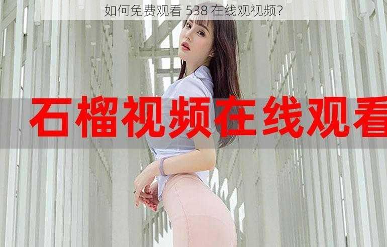 如何免费观看 538 在线观视频？