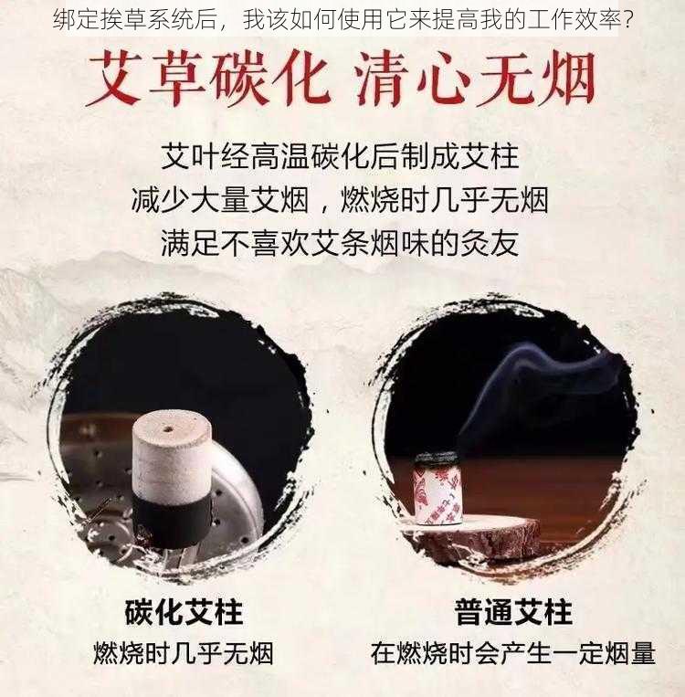 绑定挨草系统后，我该如何使用它来提高我的工作效率？