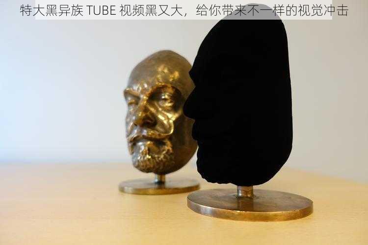 特大黑异族 TUBE 视频黑又大，给你带来不一样的视觉冲击