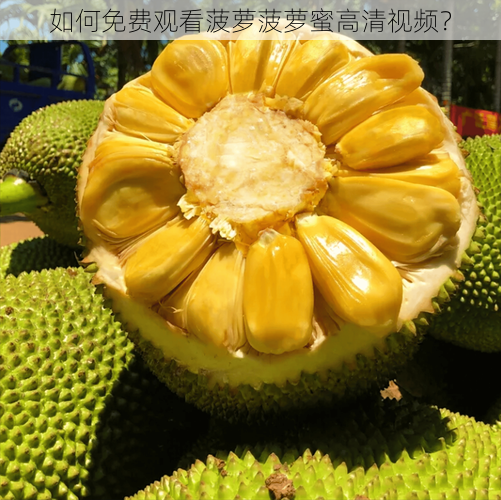 如何免费观看菠萝菠萝蜜高清视频？