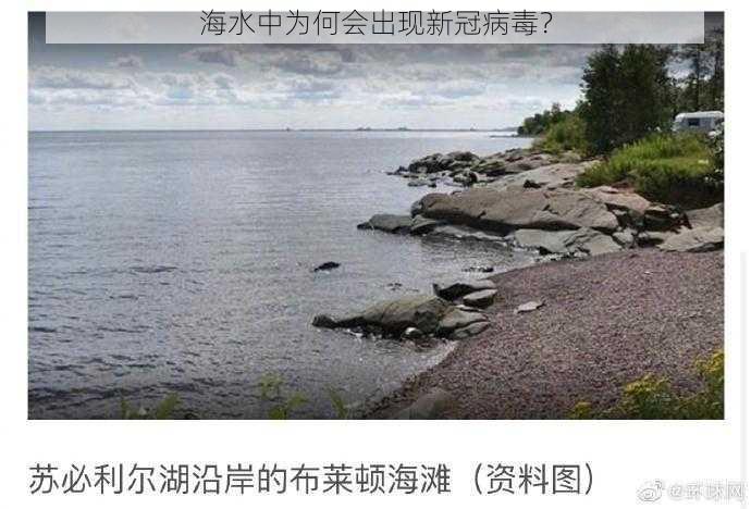 海水中为何会出现新冠病毒？