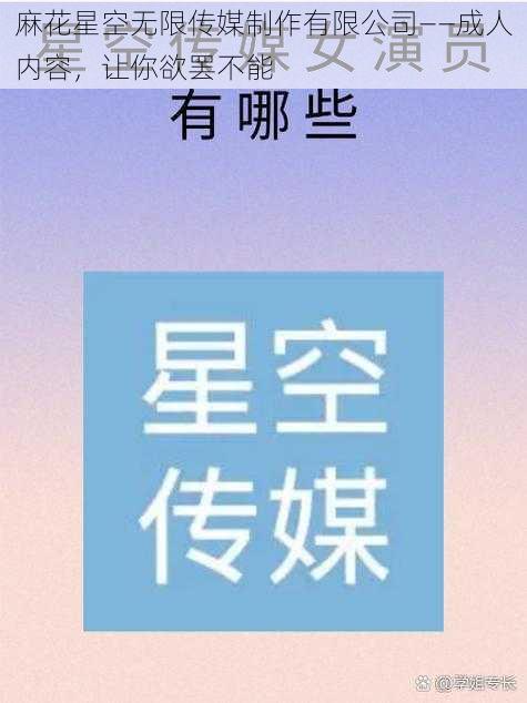 麻花星空无限传媒制作有限公司——成人内容，让你欲罢不能