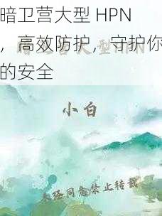 暗卫营大型 HPN，高效防护，守护你的安全