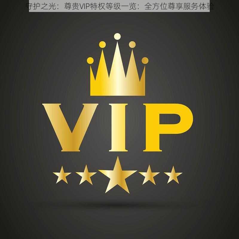 守护之光：尊贵VIP特权等级一览：全方位尊享服务体验