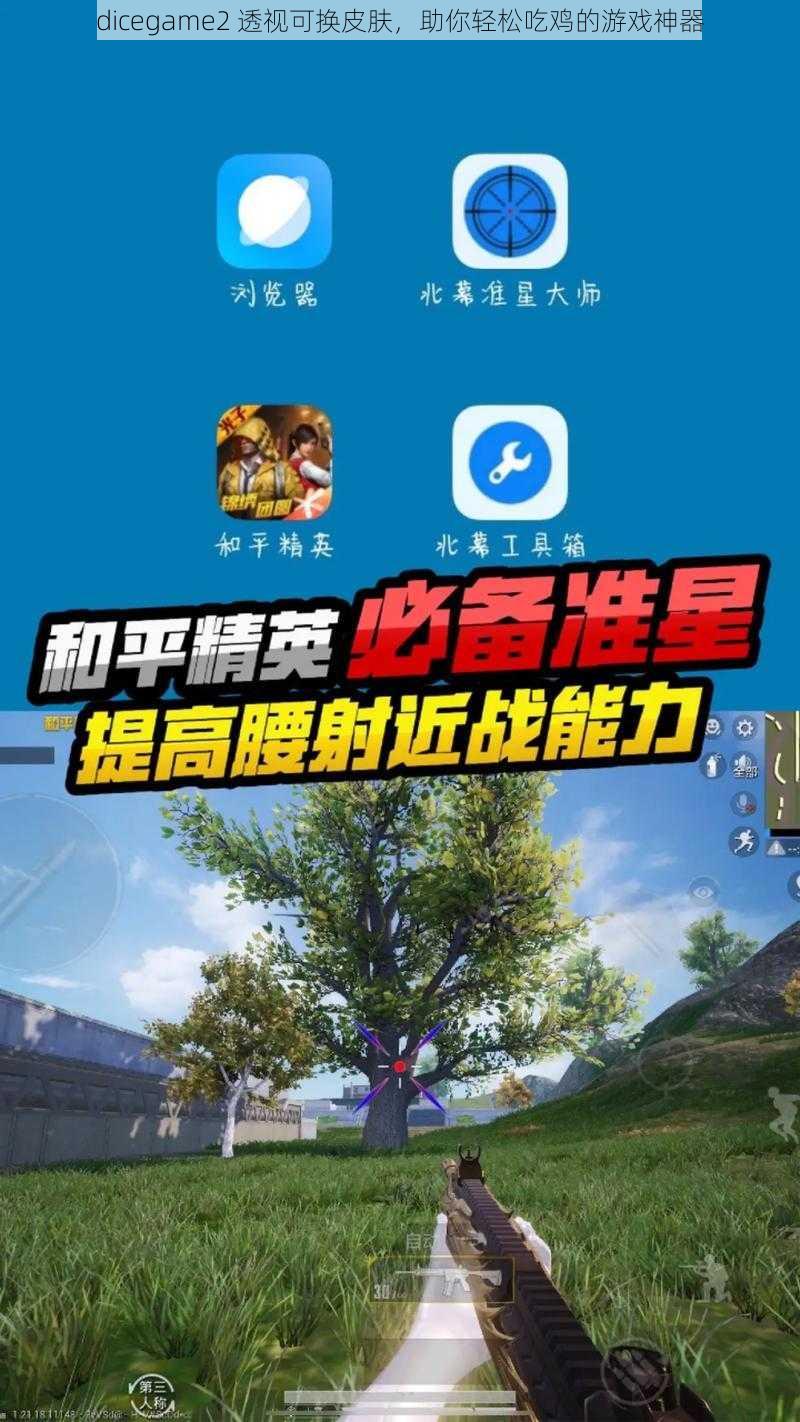 dicegame2 透视可换皮肤，助你轻松吃鸡的游戏神器