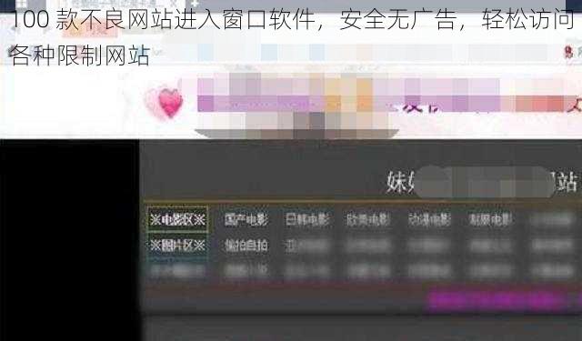 100 款不良网站进入窗口软件，安全无广告，轻松访问各种限制网站