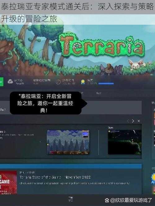 泰拉瑞亚专家模式通关后：深入探索与策略升级的冒险之旅