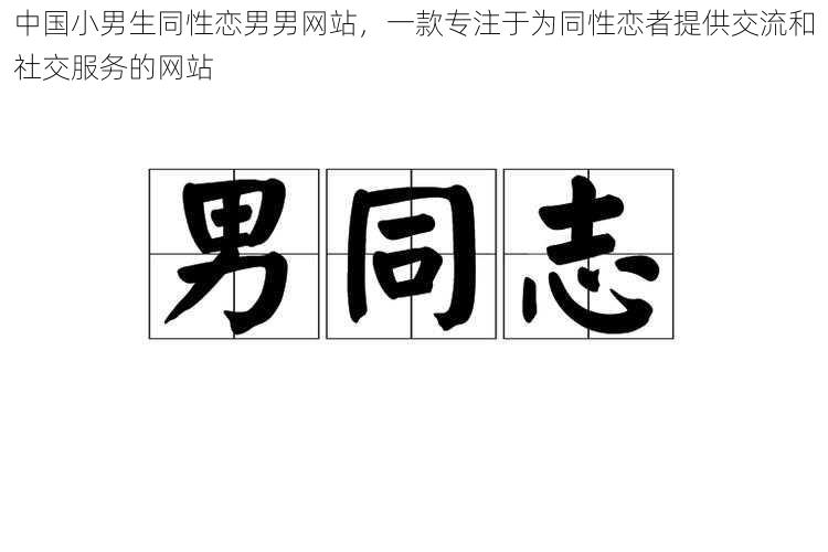 中国小男生同性恋男男网站，一款专注于为同性恋者提供交流和社交服务的网站