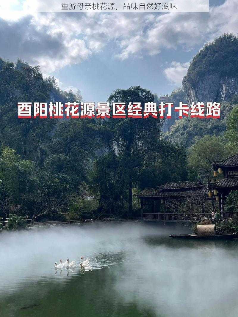 重游母亲桃花源，品味自然好滋味