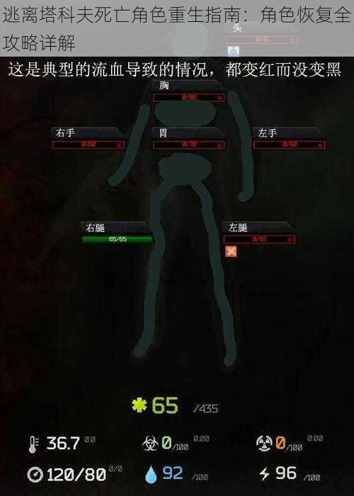 逃离塔科夫死亡角色重生指南：角色恢复全攻略详解