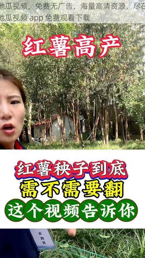 地瓜视频，免费无广告，海量高清资源，尽在地瓜视频 app 免费观看下载