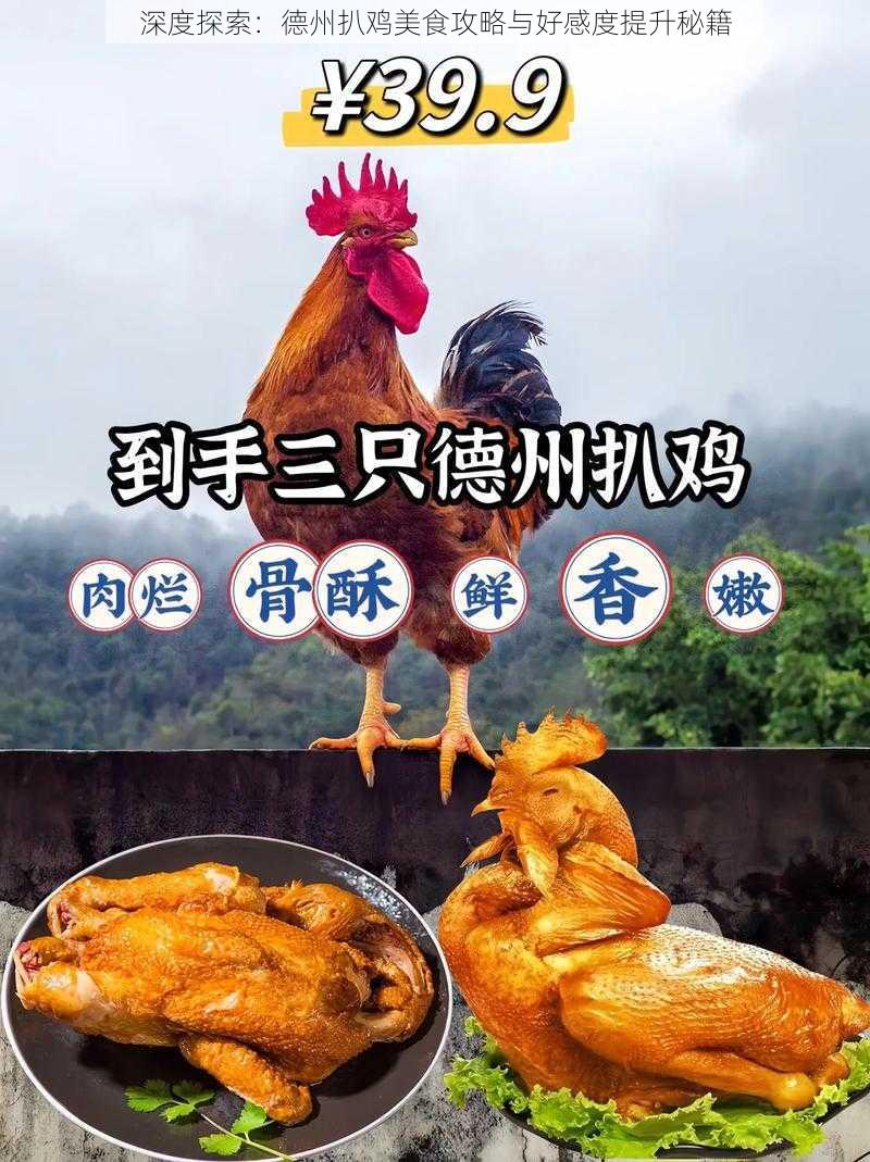 深度探索：德州扒鸡美食攻略与好感度提升秘籍