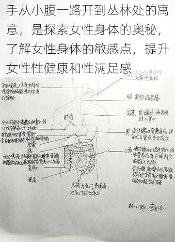 手从小腹一路开到丛林处的寓意，是探索女性身体的奥秘，了解女性身体的敏感点，提升女性性健康和性满足感