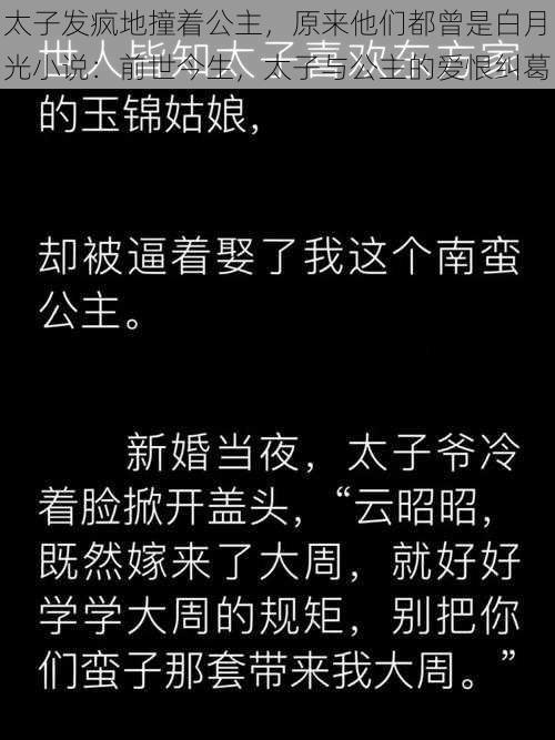 太子发疯地撞着公主，原来他们都曾是白月光小说：前世今生，太子与公主的爱恨纠葛