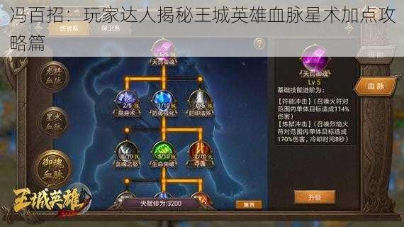 冯百招：玩家达人揭秘王城英雄血脉星术加点攻略篇