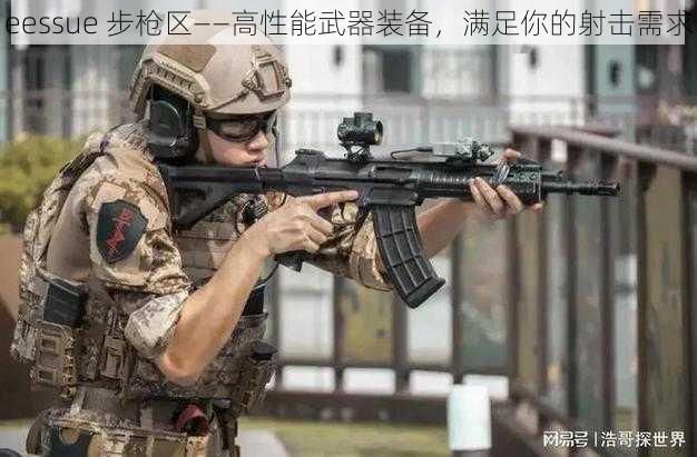 eessue 步枪区——高性能武器装备，满足你的射击需求