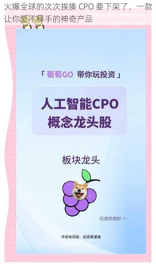 火爆全球的次次挨揍 CPO 要下架了，一款让你爱不释手的神奇产品