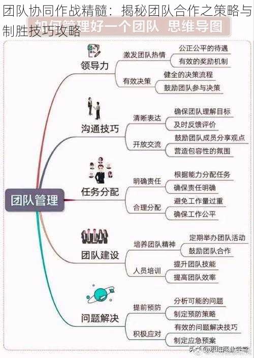 团队协同作战精髓：揭秘团队合作之策略与制胜技巧攻略