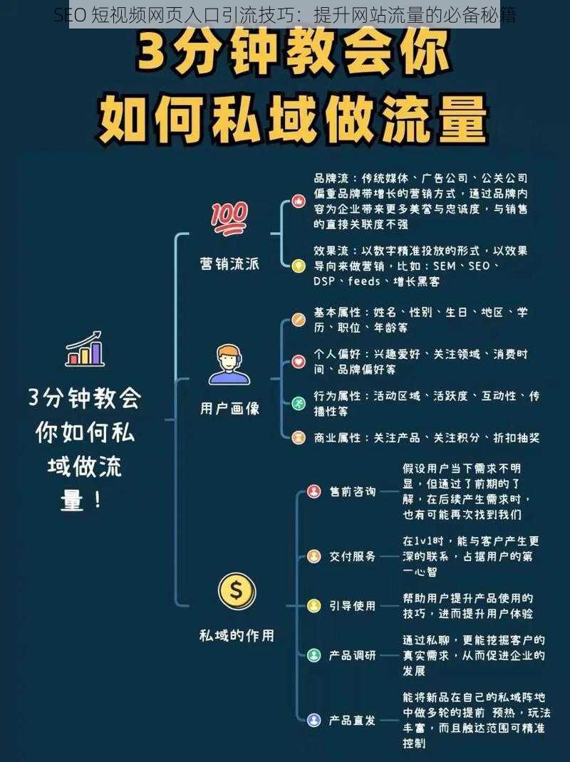 SEO 短视频网页入口引流技巧：提升网站流量的必备秘籍